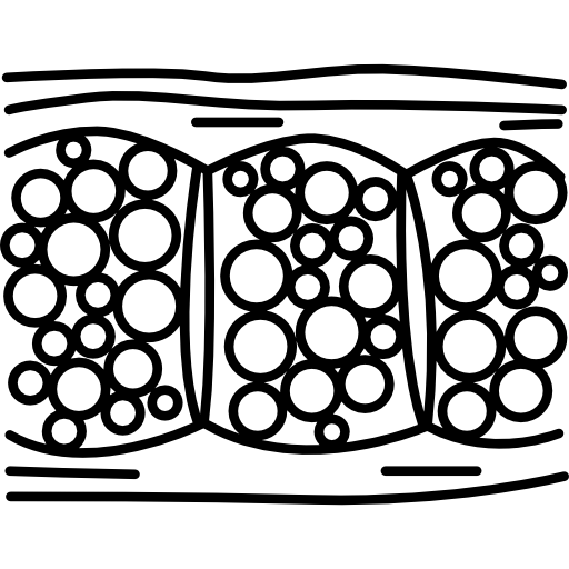 cellulite.png